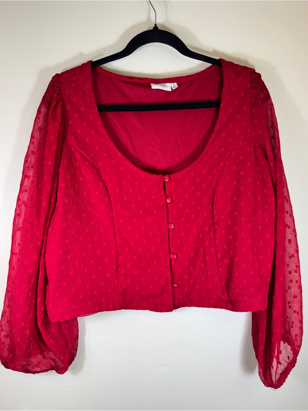 Red Sheer Dot Button-Front crop Top